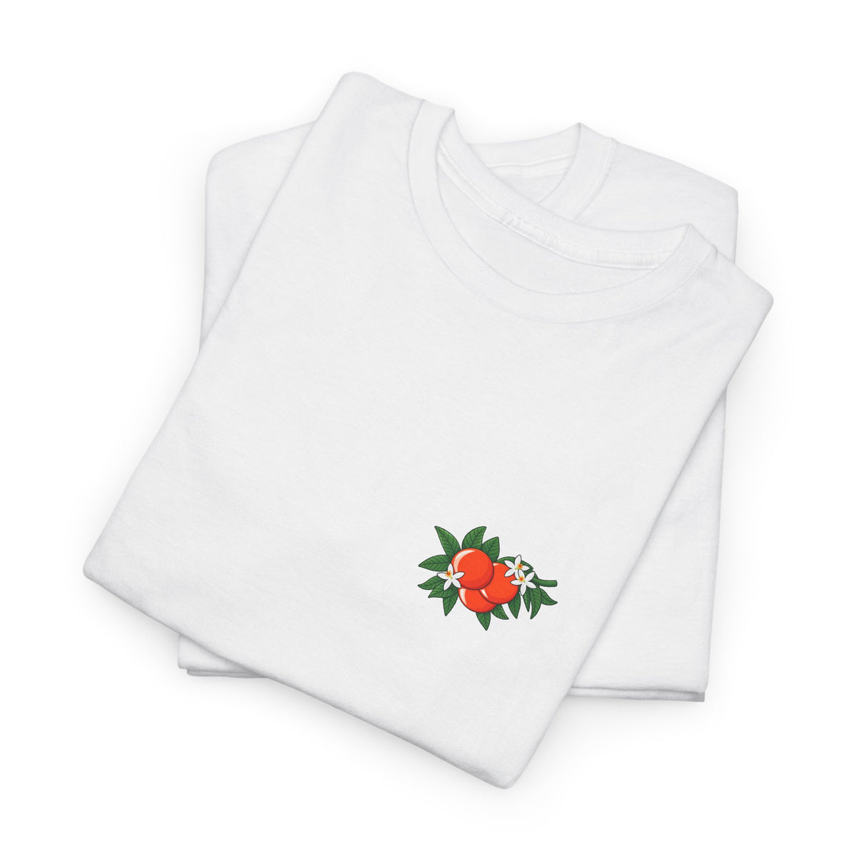 Orange City Water Company Vintage T-Shirt | Historic Florida Citrus